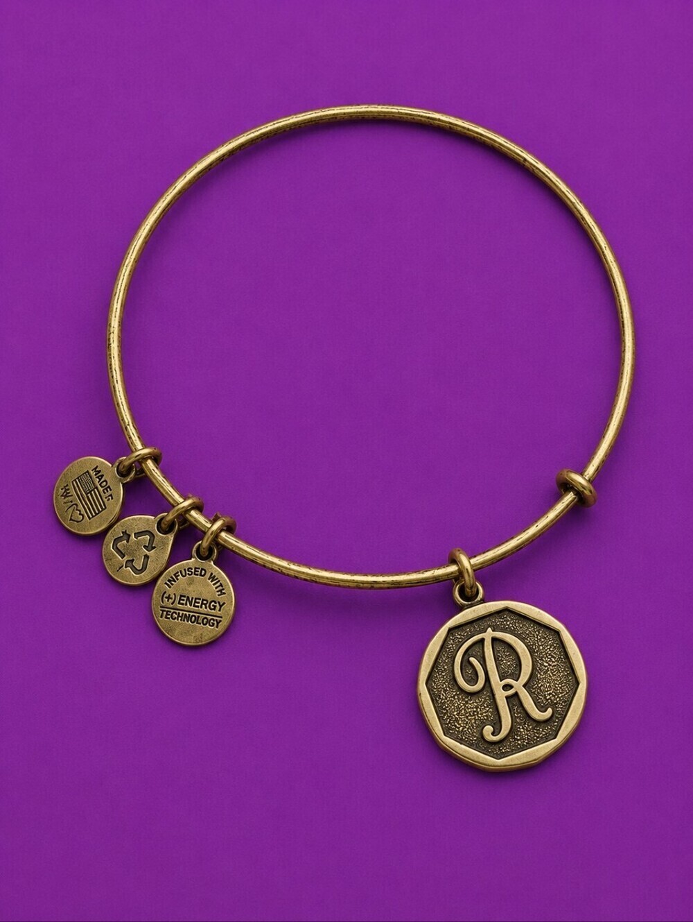 3/$30 ALEX & ANI Initial R Charm Bangle Slider Bracelet